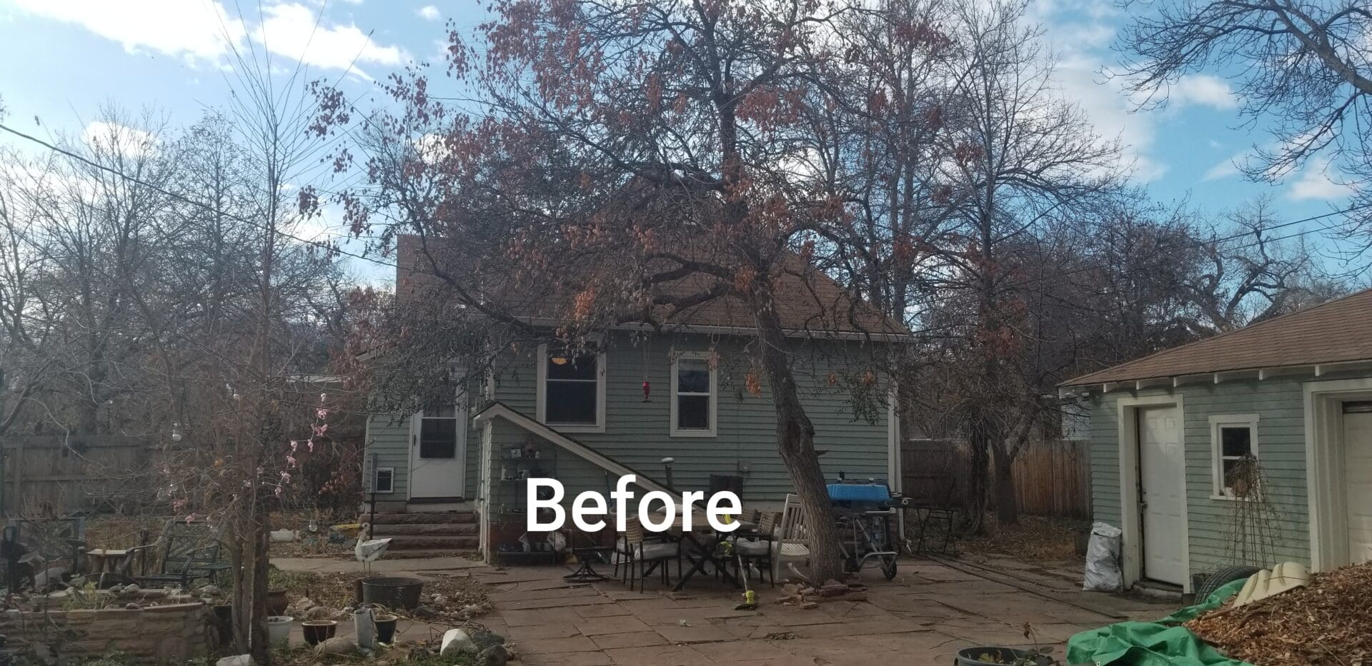 Backyard with overgrown tree before renovation.