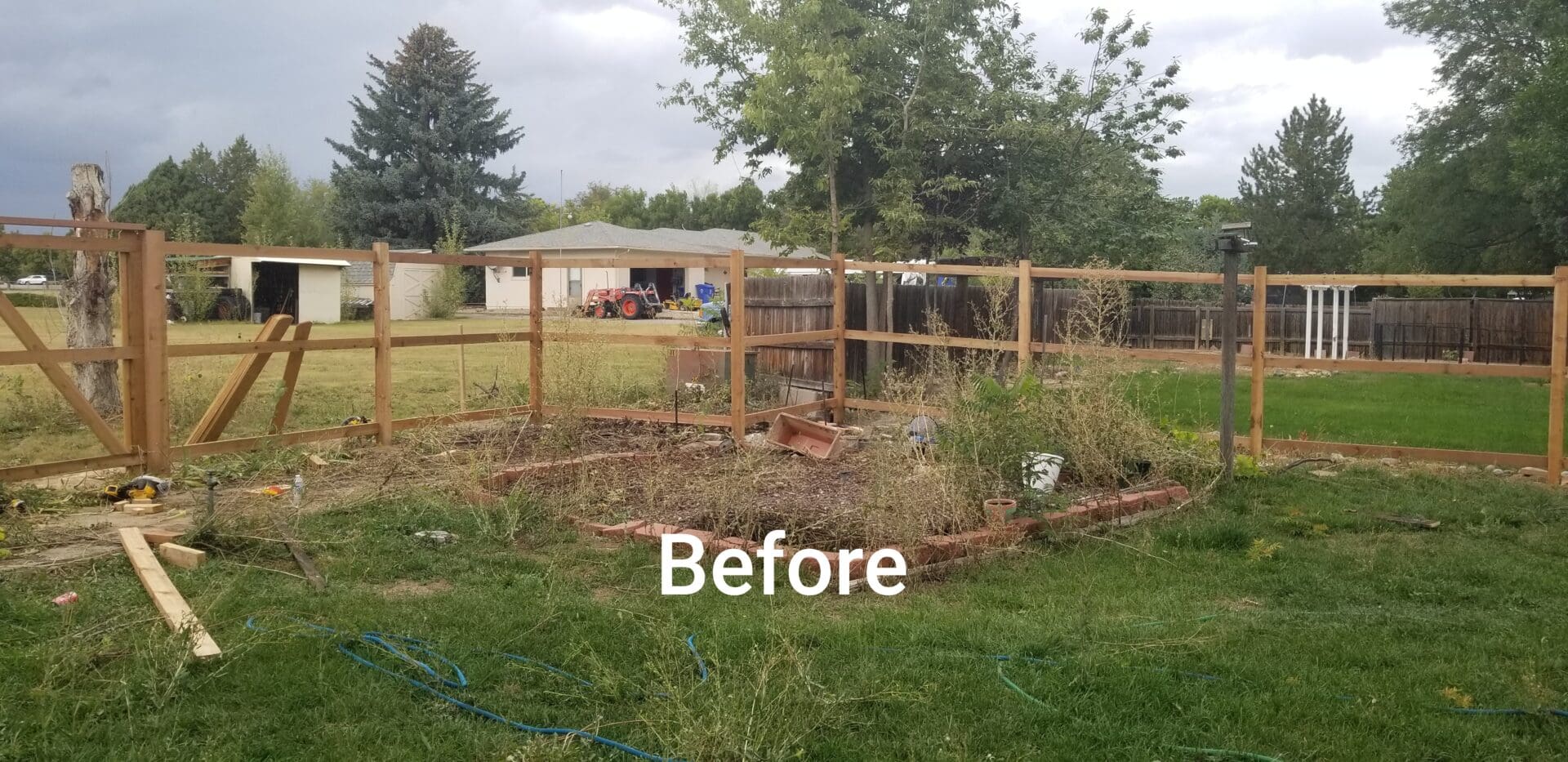 Wooden fence and overgrown garden bed.