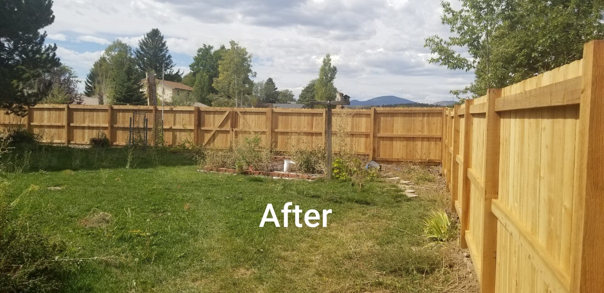 Wooden fence in backyard after staining.